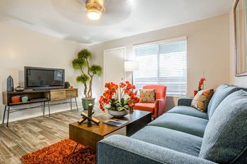Living room interior